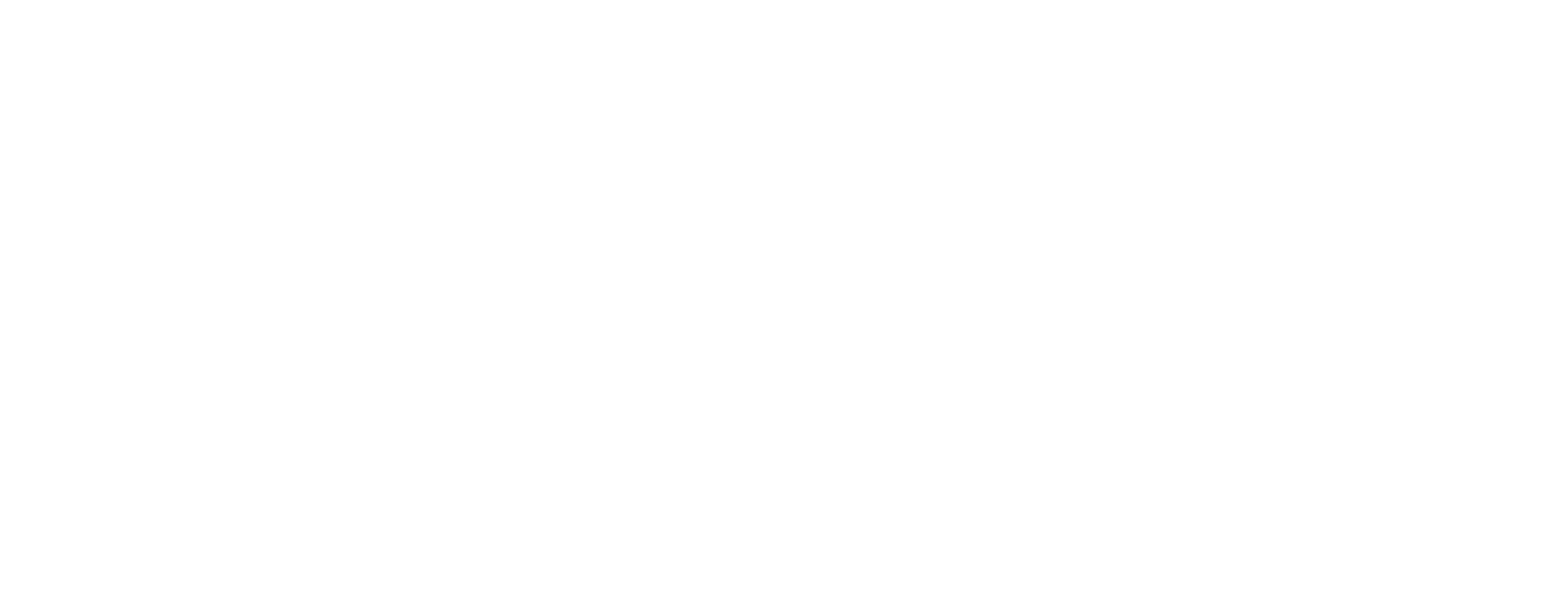 test website